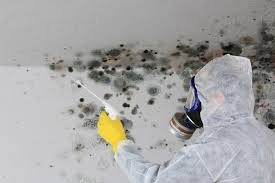 Best Water Damage & Mold Remediation in Nashville, IN